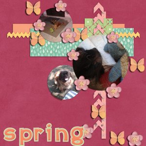 Spring by Sara