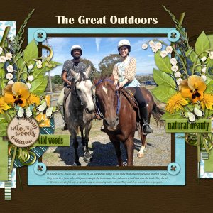 The Great Outdoors