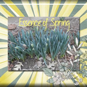 Essence of Spring