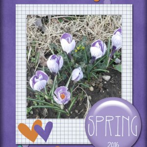 Spring 2016