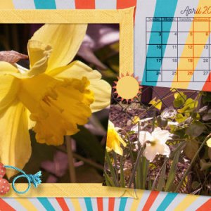 B57_SummertimeFunByLedTpByDFD