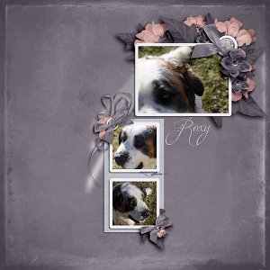 Roxy