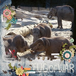 Tug of War