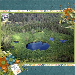 Kettle Ponds