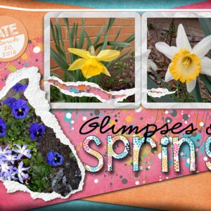 Glimpses of spring