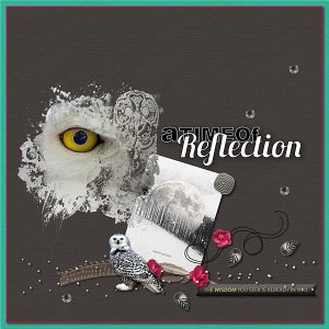 Reflection