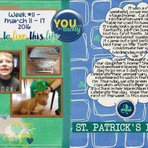 2016 Week 11 - Project 365 Challenge