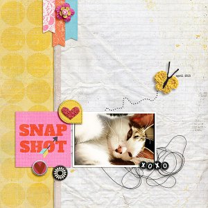 snap shot