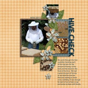 Hive Check