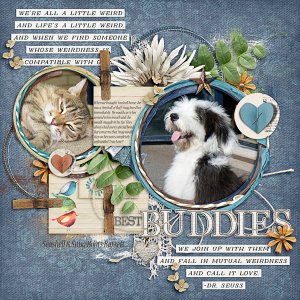 Best Buddies