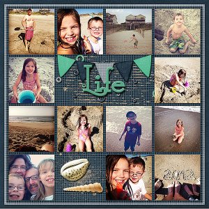 Beach Life Right 2012