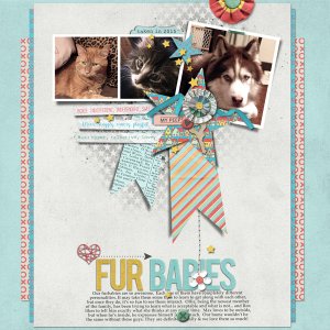 Our Furbabies | 2015