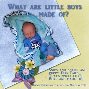 What Are Little Boys Made Of?