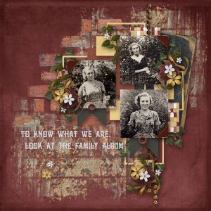 family-album-