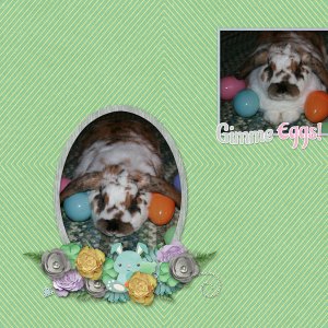 Daisy Eggs