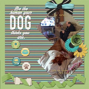2016-12-27 Harley4 waw_adogslife_TTT32