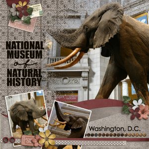Natural History Museum