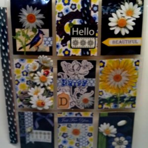 D is for Daisy Hybrid PL