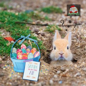 Happy Easter Mr Bunny