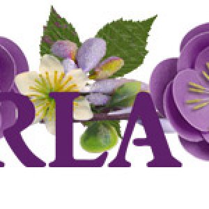 Carla Jo March 2016