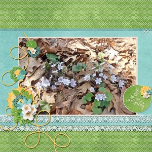 Spring is in the Air