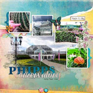 Spring Flower Show2