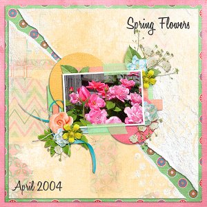Spring Flowers