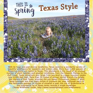 This Is Spring - Texas Style