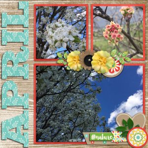april2016_altimasport