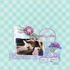 delightful special moments
