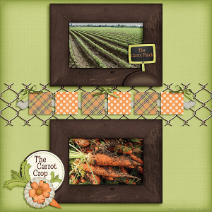 Carrot Patch