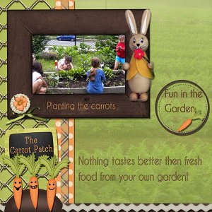 Carrot Patch