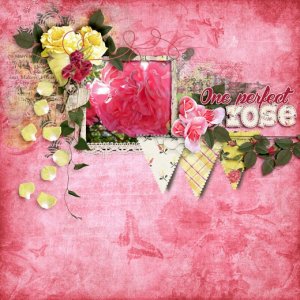 One_perfect_rose