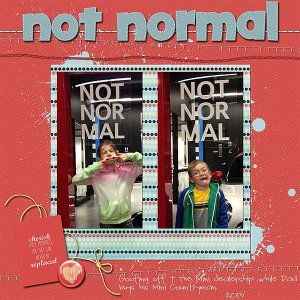 Not Normal 2013
