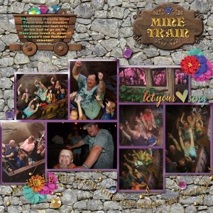 2015 Mine Train