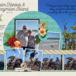 Palm Harbor + Honeymoon Island