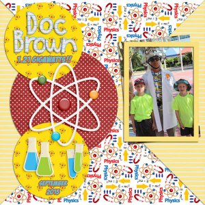 2015 Doc Brown