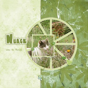 Nuage aime la nature