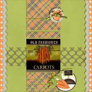 Carrot-Patch