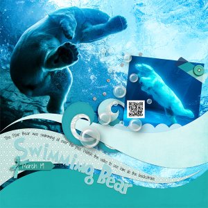 Swimming Bear