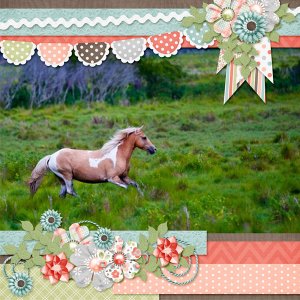 Scraplift-Apr16