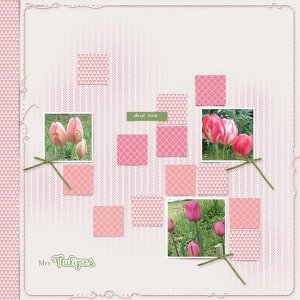 Tulipes