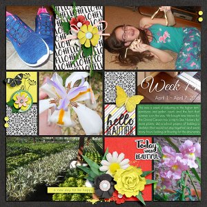Week 14 - Project 52