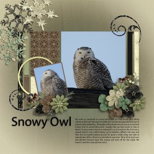 Snowy