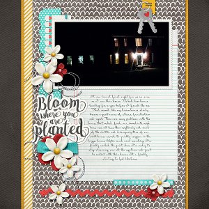 Bloom Where Planted