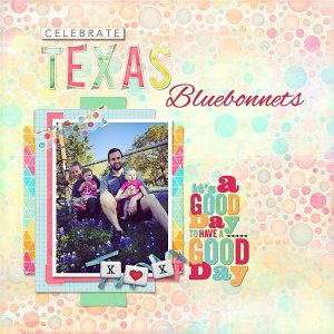 Bluebonnets
