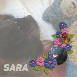 Sara and her teddy bear