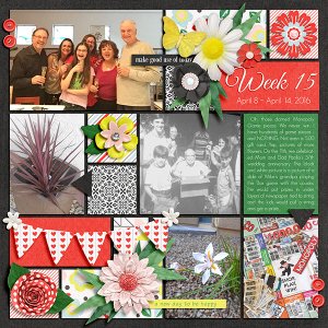Week 15 Project 52