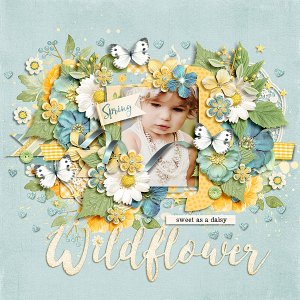 Wildflower
