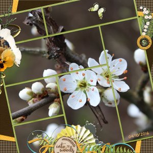 spring flowers
